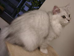 20080730_4.jpg
