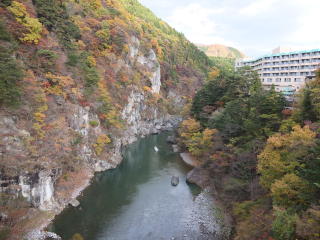 20111120.jpg