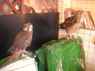 20120310.jpg
