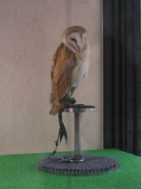 20121103.jpg