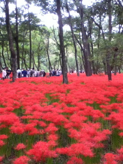 20130923.jpg