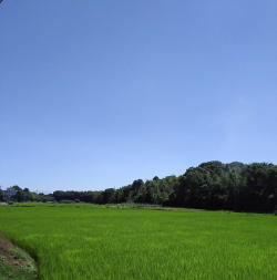 20150721.jpg